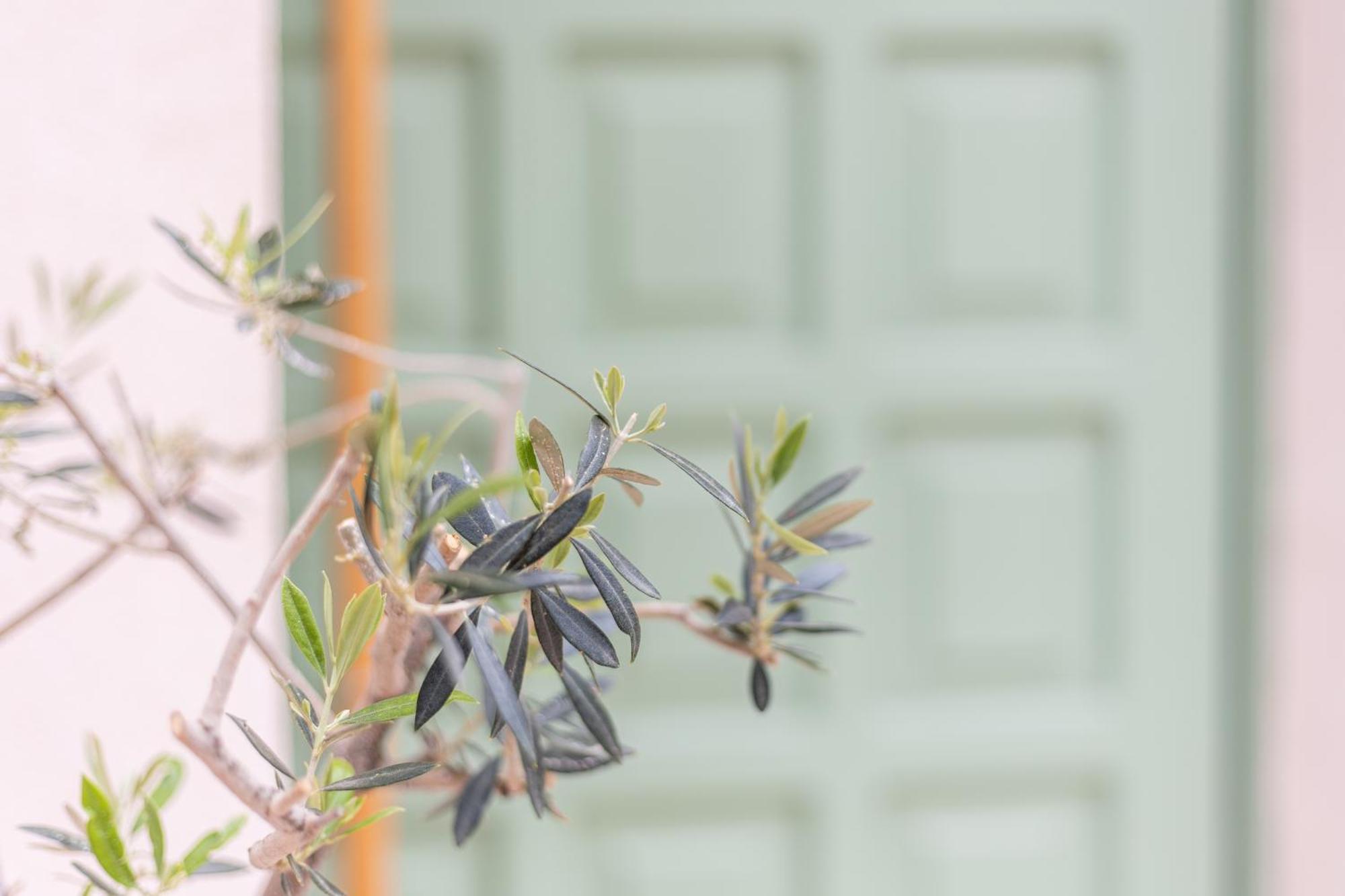 Erofili Traditional House ハニア エクステリア 写真